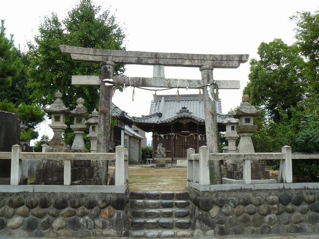 ���𔪔���