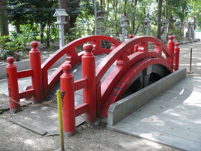 �����_��