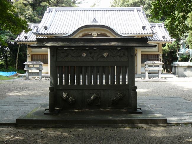 �����_��