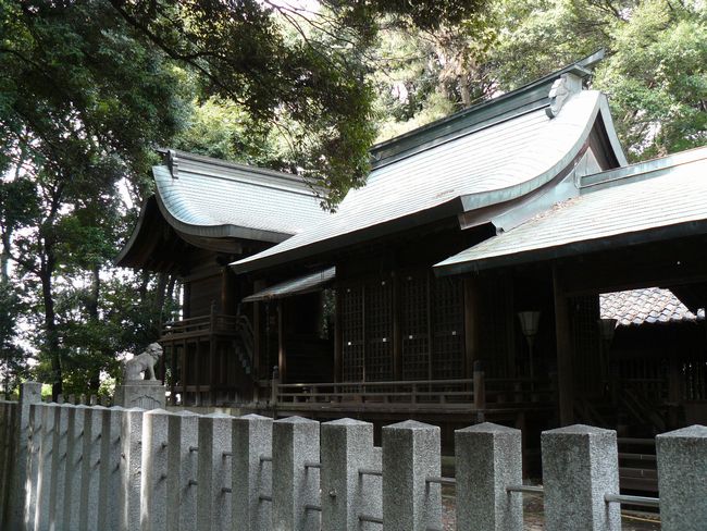 �����_��