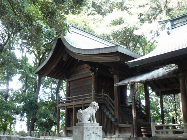 �����_��