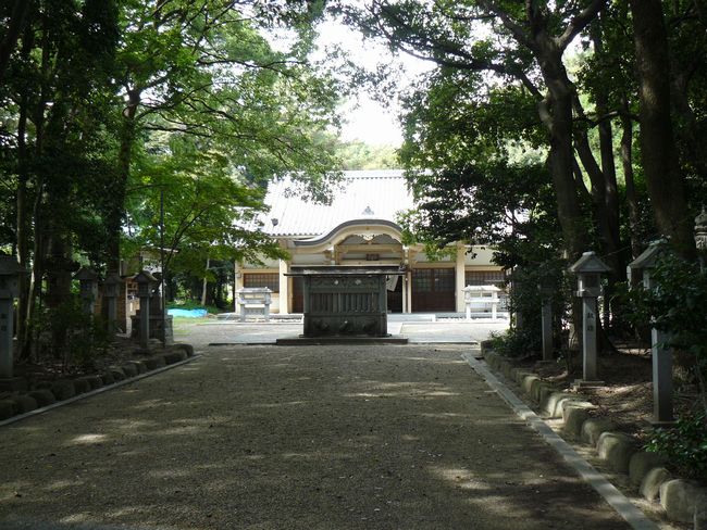 �����_��