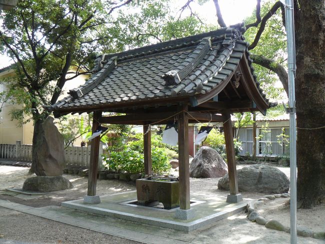 �����_��