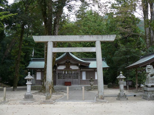 �����_��