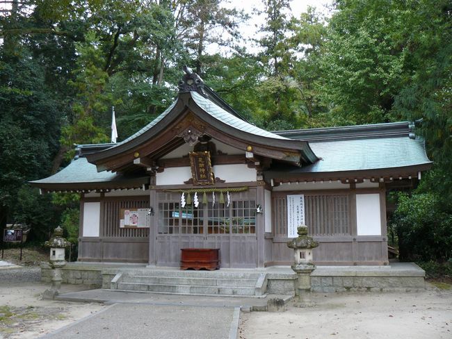 �����_��