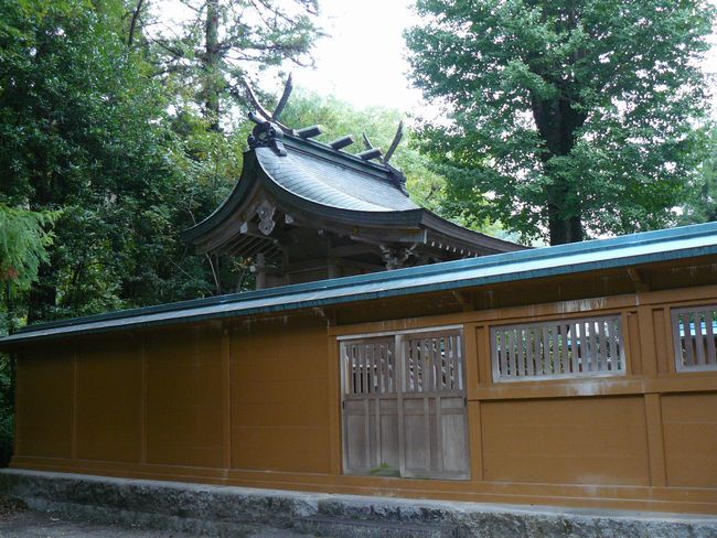 �����_��