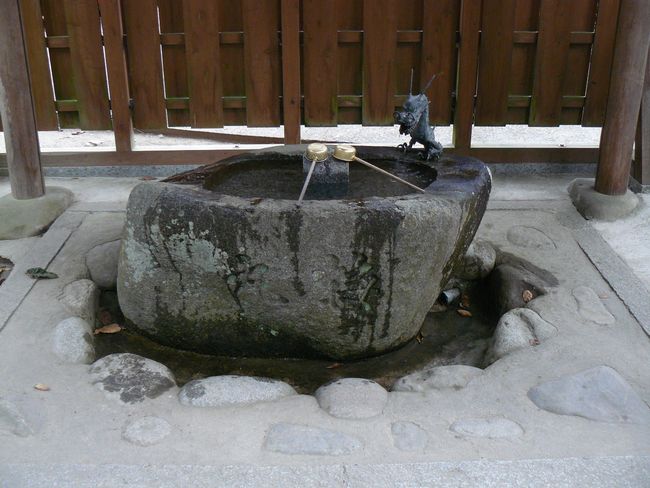 �����_��