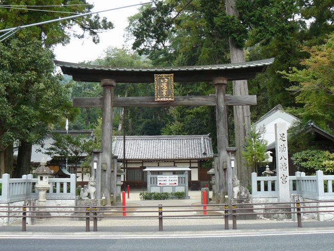 ���������{