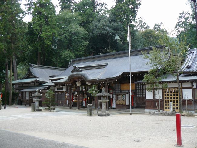 ���������{