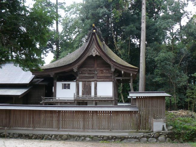 ���������{