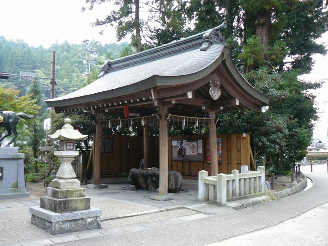 ���������{