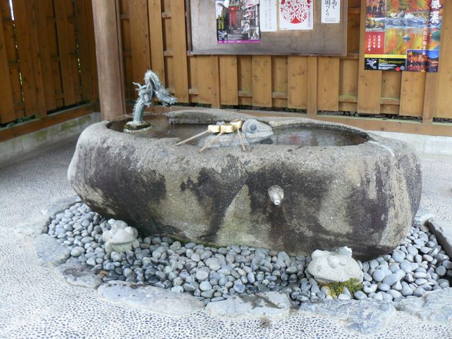 ���������{