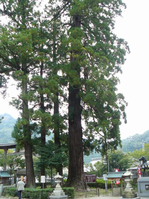 ���������{