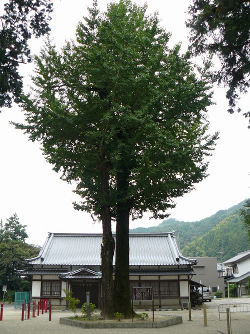 ���������{