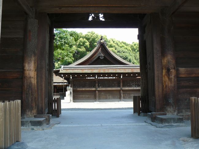 �����卑��_��