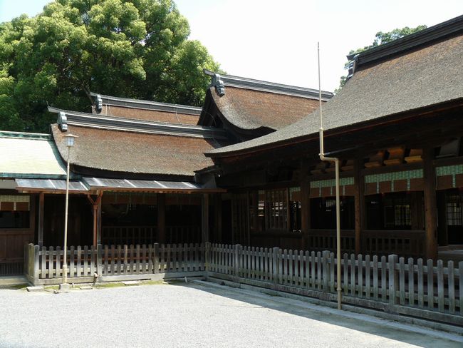 �����卑��_��