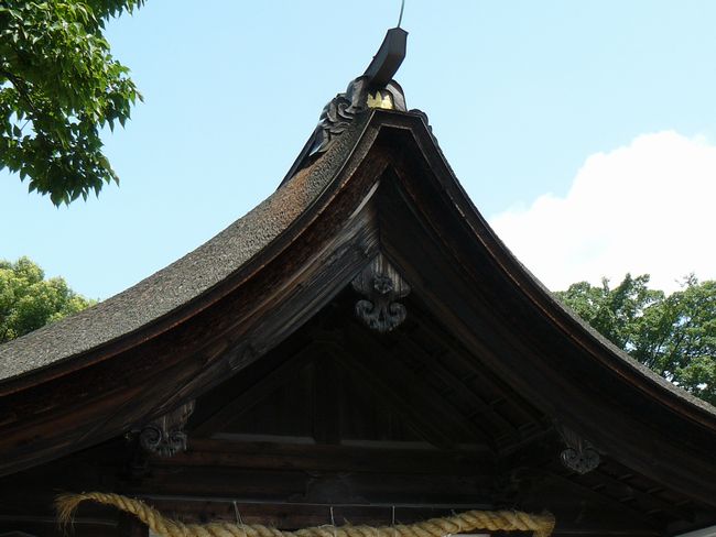 �����卑��_��