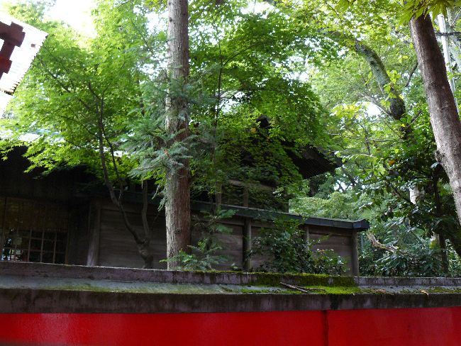 �O����א_��