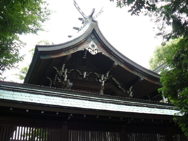 ���Z�H�F�N�h�E�喾�_��