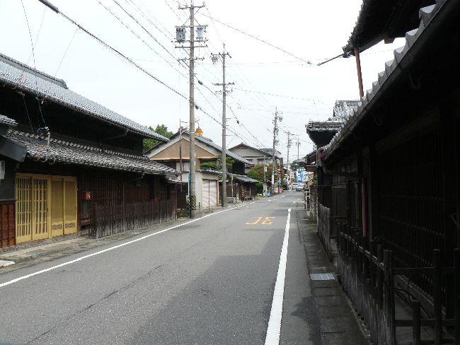 ���Z�H�F�N�h�E������