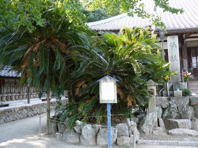 ���C���F�ԍ�h�E���