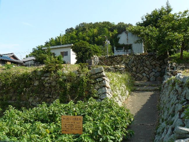 ���C���F����h�E�{�w