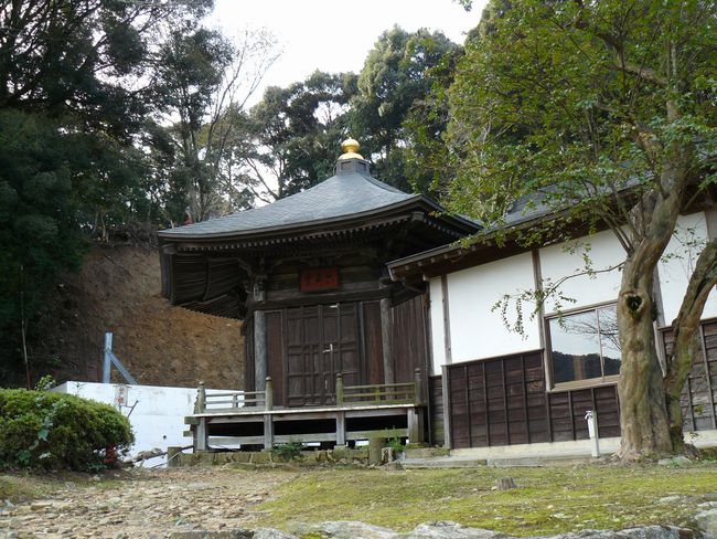 ���C���F�{�h�E�@����