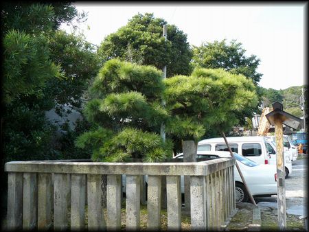 �䑐���|��