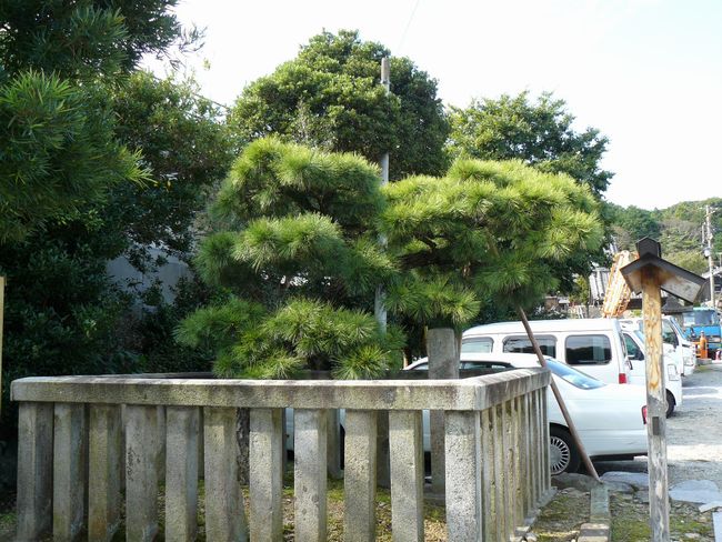 ���C���F�{�h�E�䑐���|��