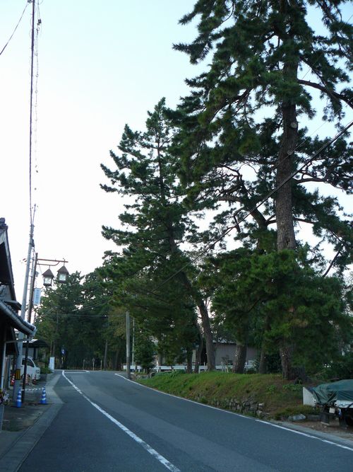 ���C���F����h�E����m������