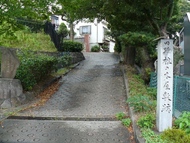 �ł̖؉��~��