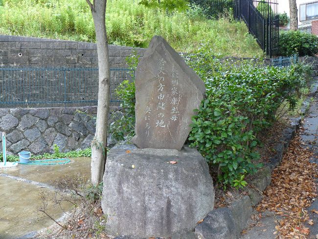 �ł̖؉��~��