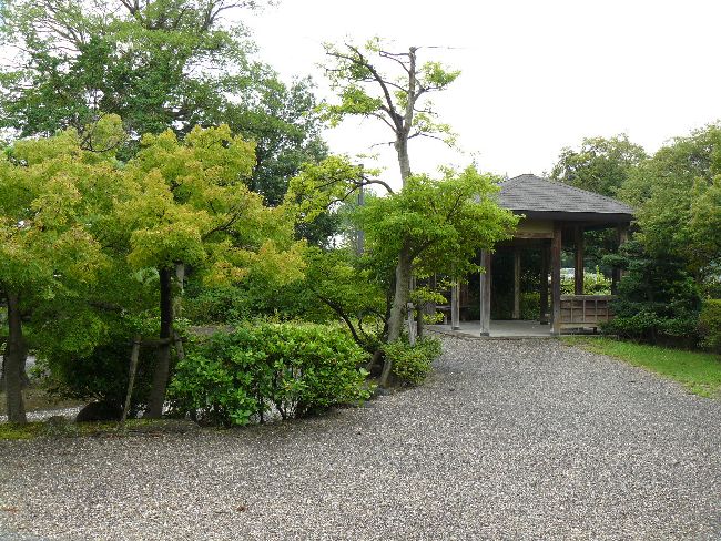 �ł̖؉��~��