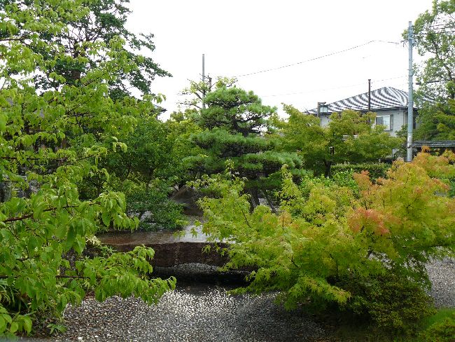 �ł̖؉��~��