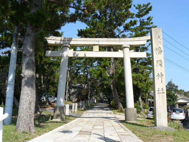 �����_��