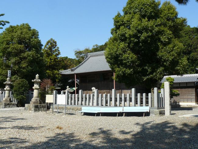 �����_��