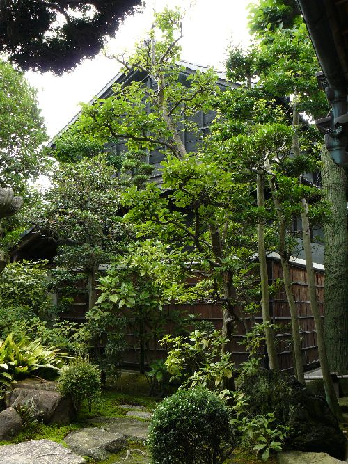 �������ƏZ��