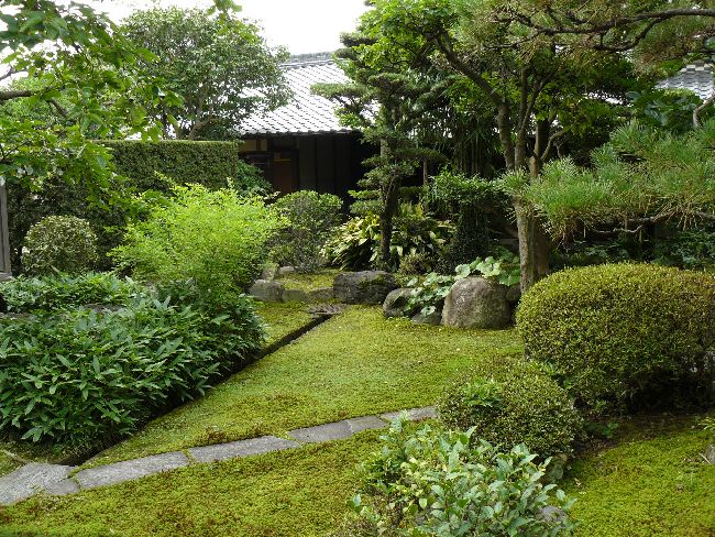 �������ƏZ��