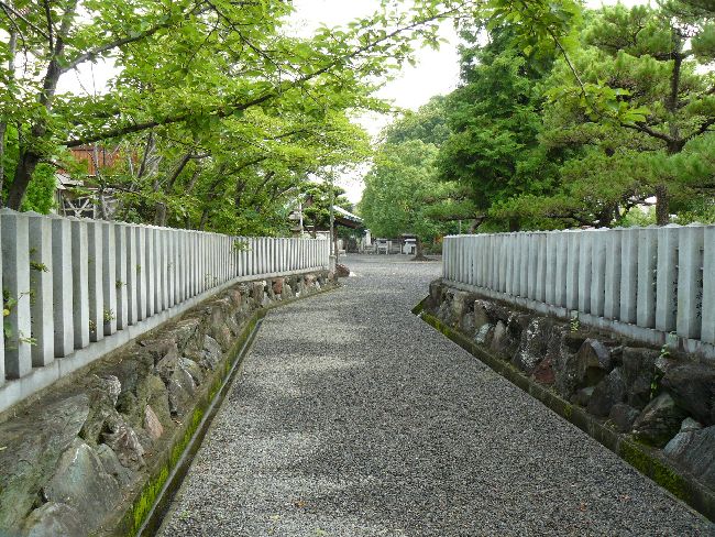 �����_��