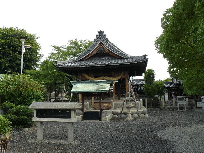 �����_��