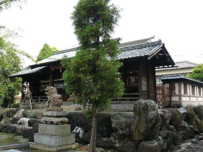 �����_��