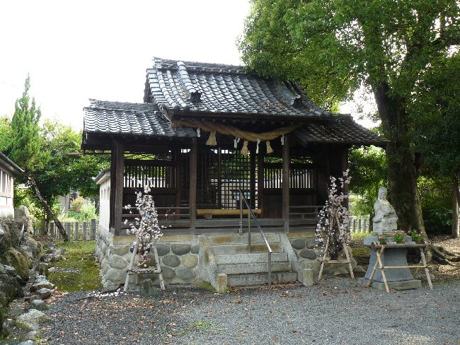 �����_��