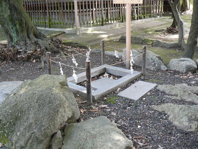 ���F�R���{���g�_��