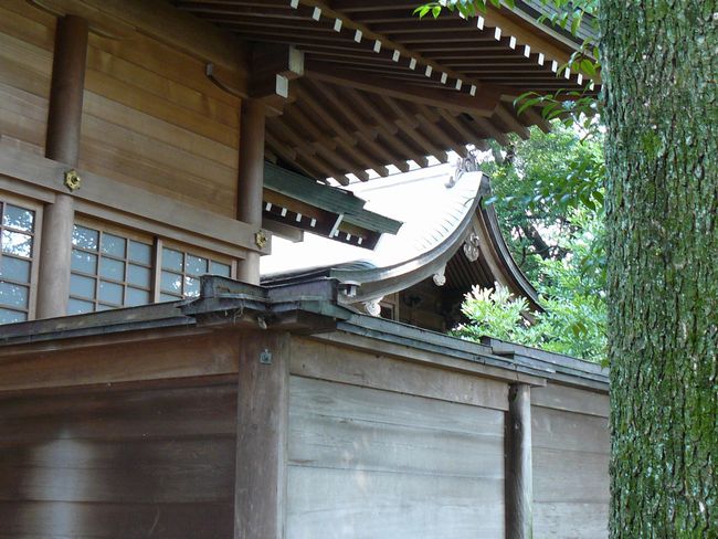 ���F�R���{���g�_��