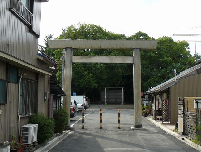 �y���_����