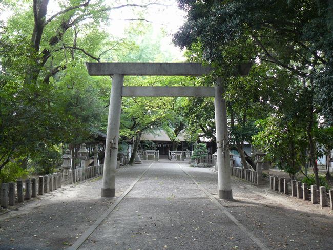 �y���_����