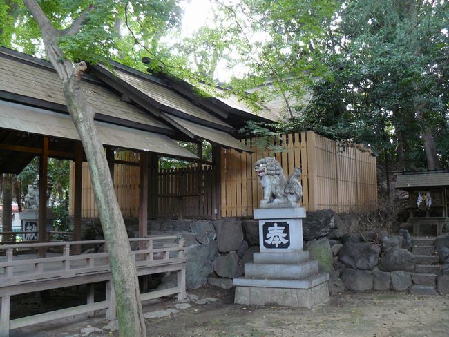 �y���_����