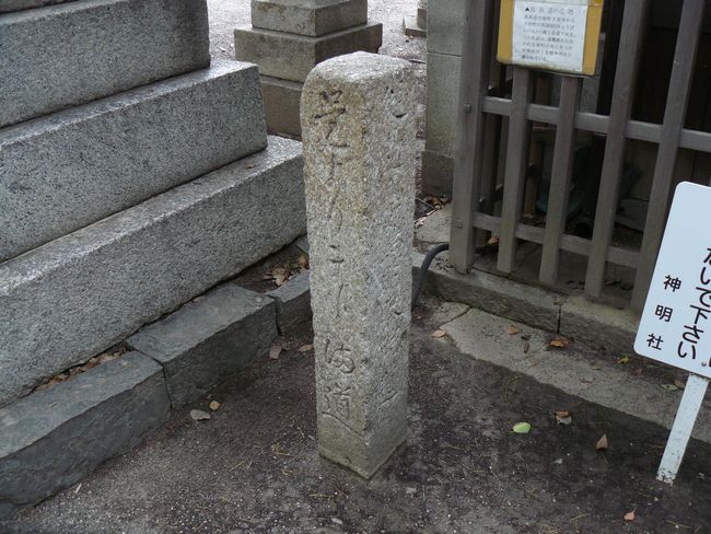 �y���_����