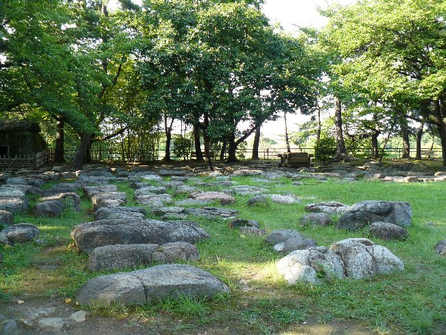 �V��t��b��