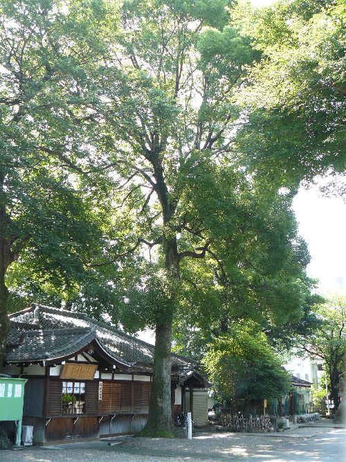 ���u�_��